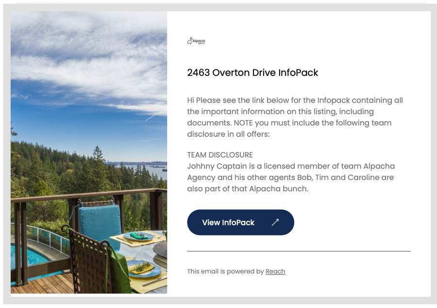 InfoPack email preview